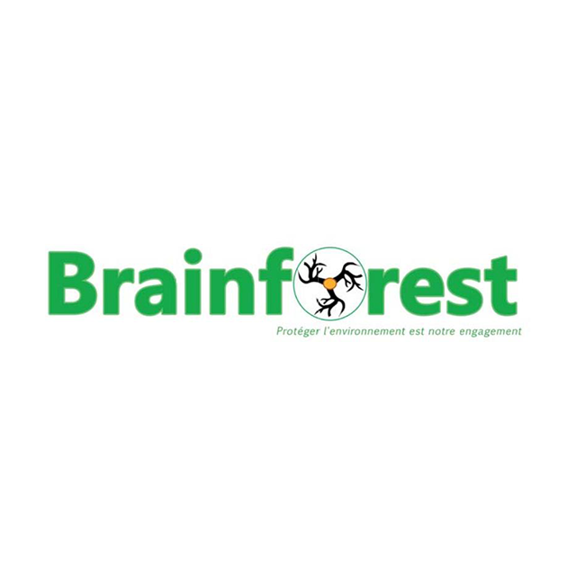 Brainforest